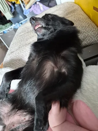 Даня, фотография