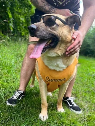 Рыжий, фотография