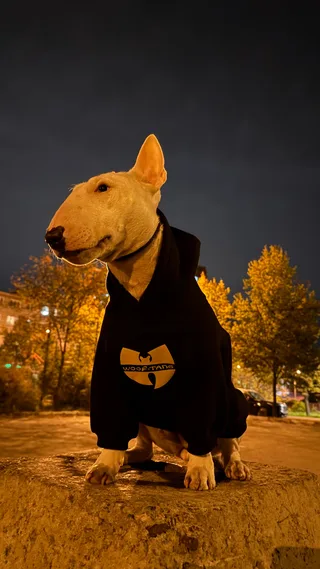 Руби, фотография