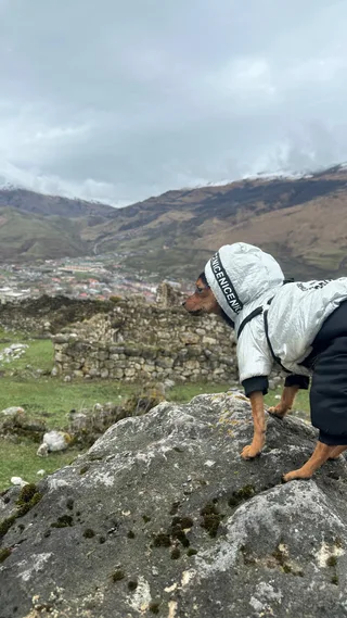 Йожик, фотография
