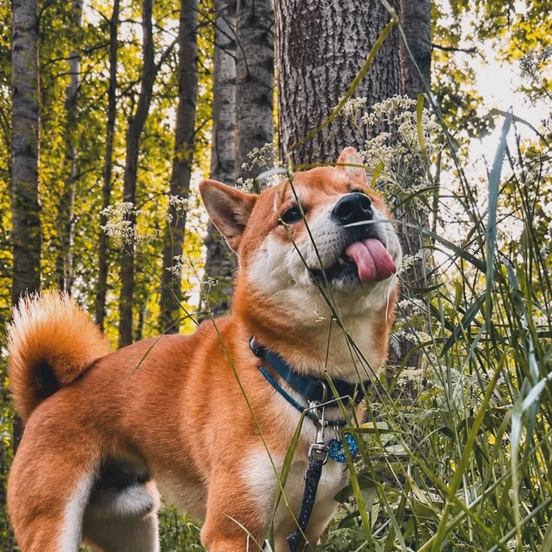 Ксения, фотография