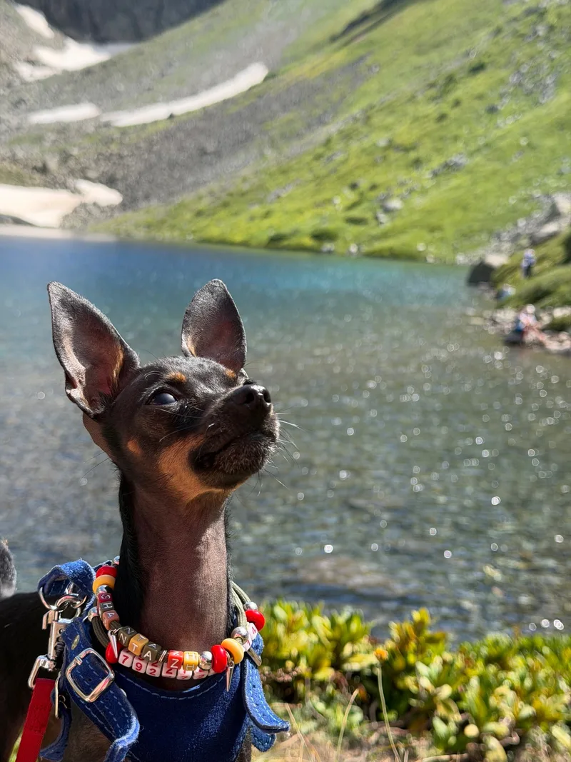 Ксения, фотография