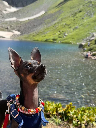 Шантаж, фотография