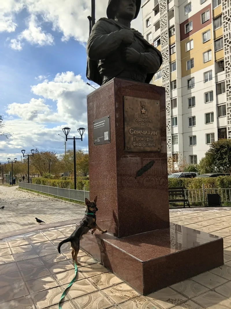 Лэви, фотография