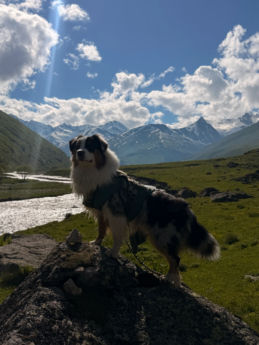 Луиза, фотография