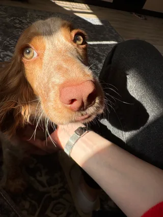 Боча, фотография