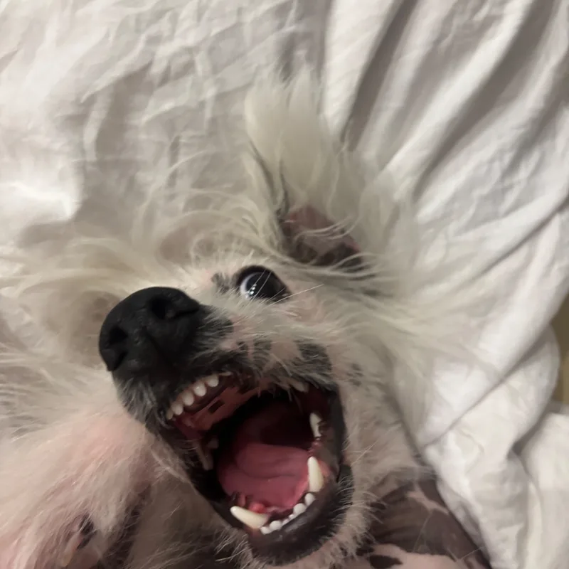 Ольга, фотография