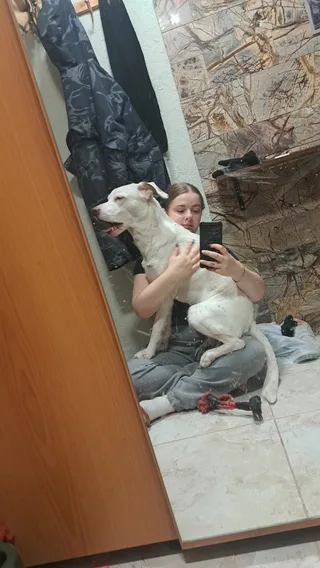 Вольт, фотография