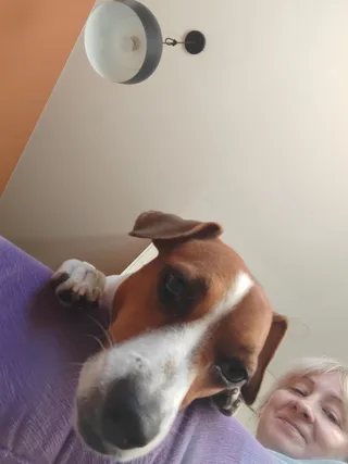 Дина, фотография