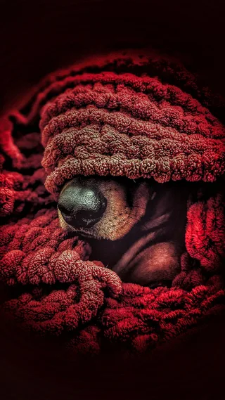 2PAC(Тупак), фотография