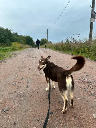 Чоко, фотография