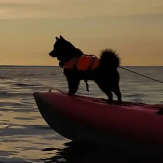 Мушу, фотография