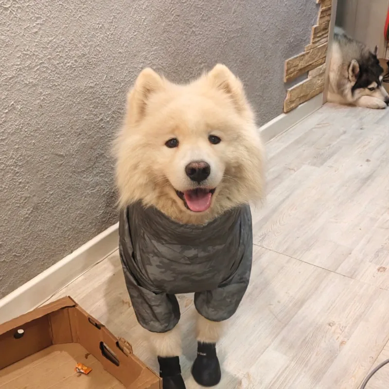 Юлия, фотография
