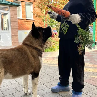 Рик, фотография