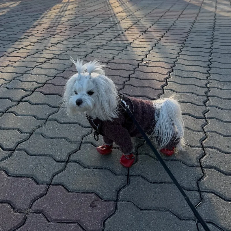 Нат, фотография