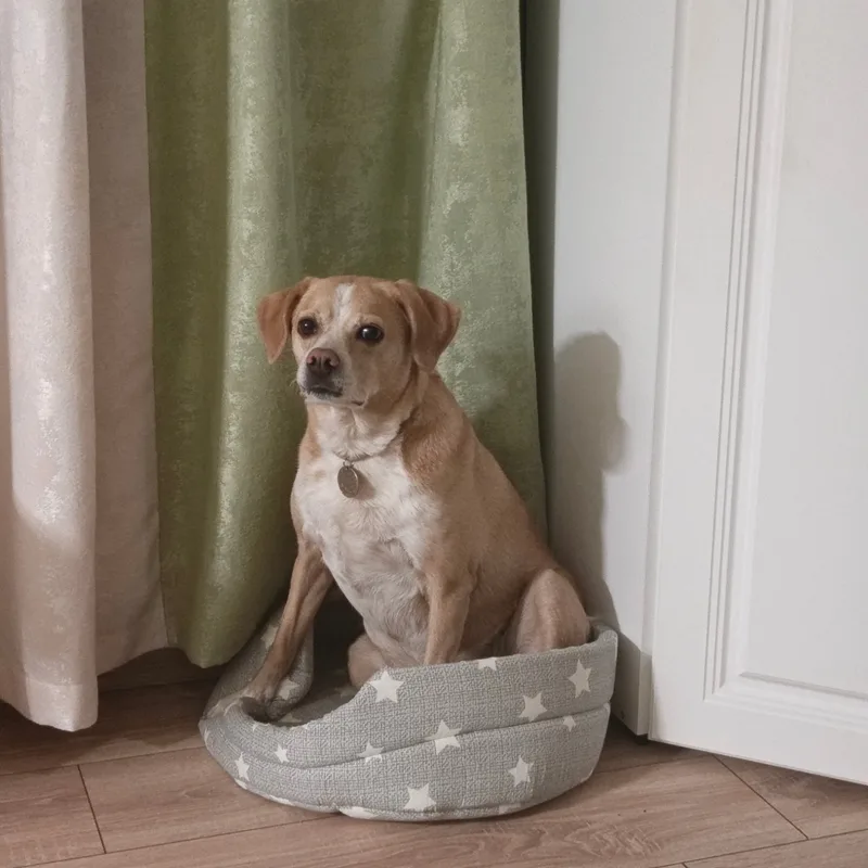 Марина, фотография