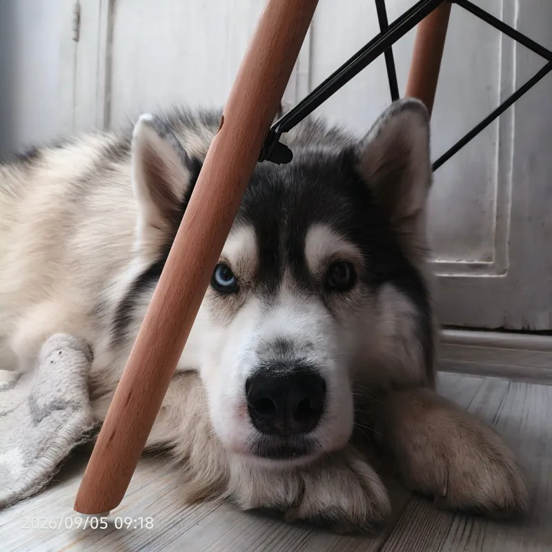 Юлия, фотография