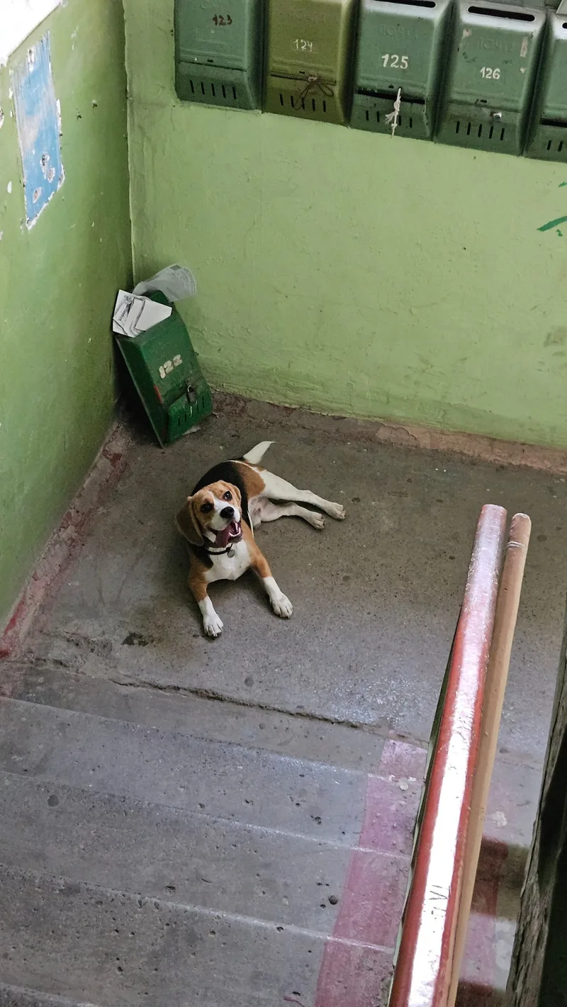 Илья, фотография