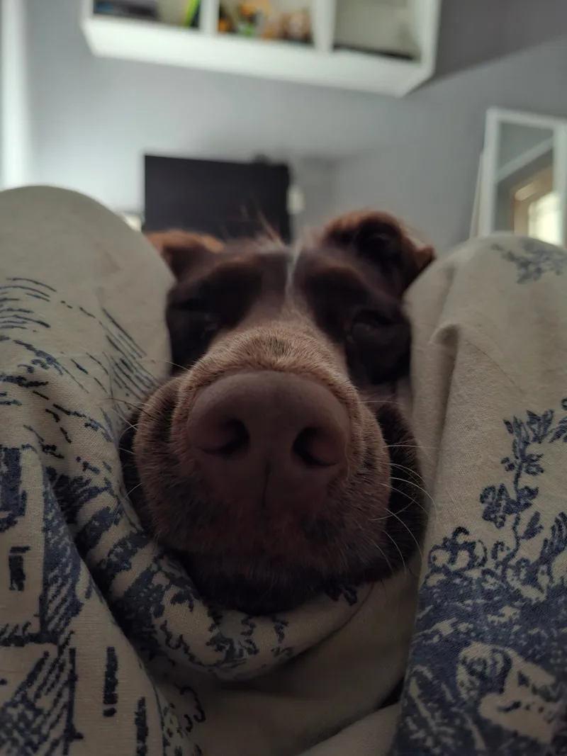 Марго, фотография