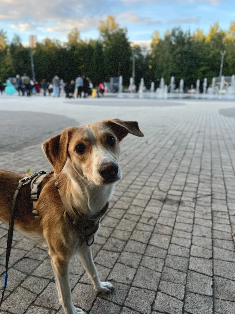 Анна, фотография