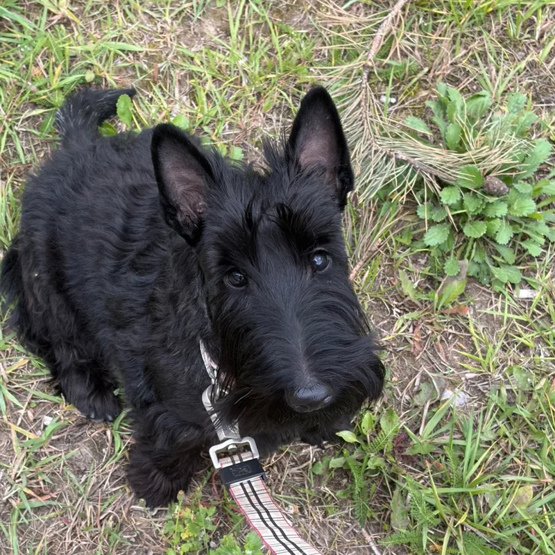 Максим, фотография