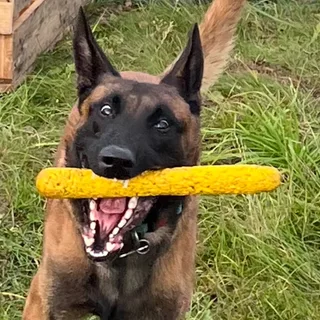 Норд, фотография