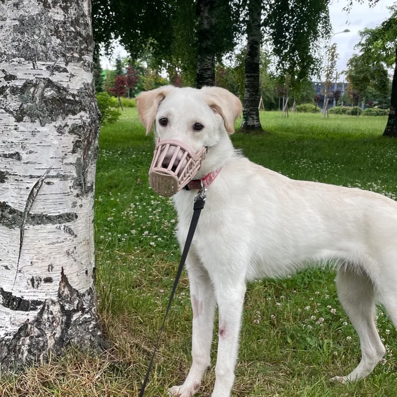 Ольга, фотография