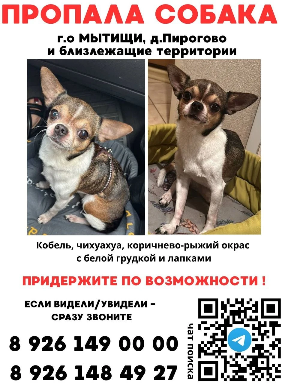 Филя, фото 2