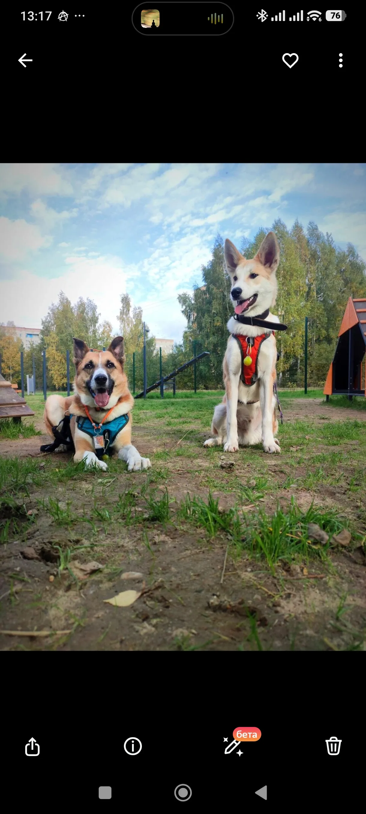 Первые прогулки