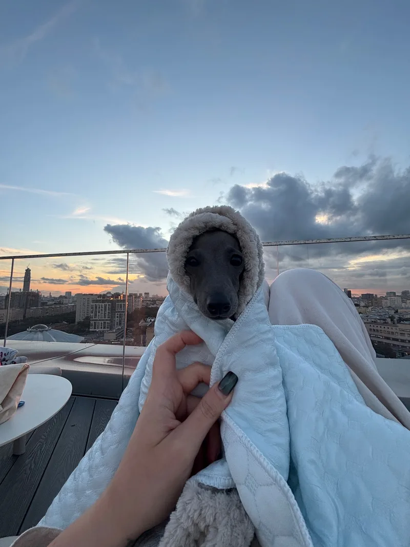 Элина, фотография