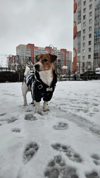 Бумер, фотография