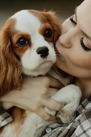 Молли, фотография