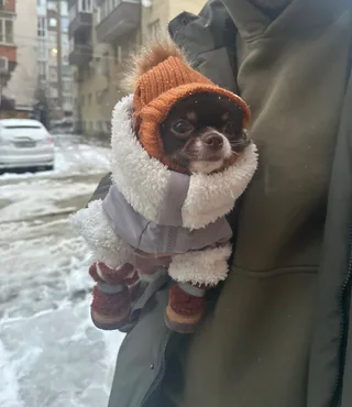 Тея, фотография