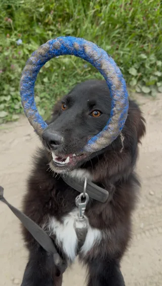 Чопу, фотография
