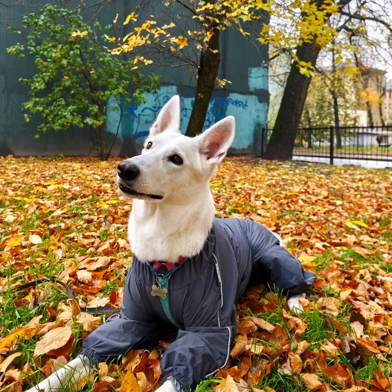 Каролина, фотография