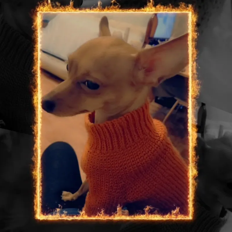 Ольга, фотография