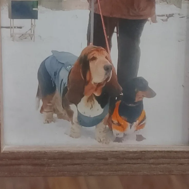Василина, фотография