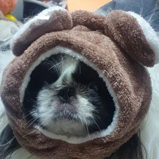Зайчик, фотография