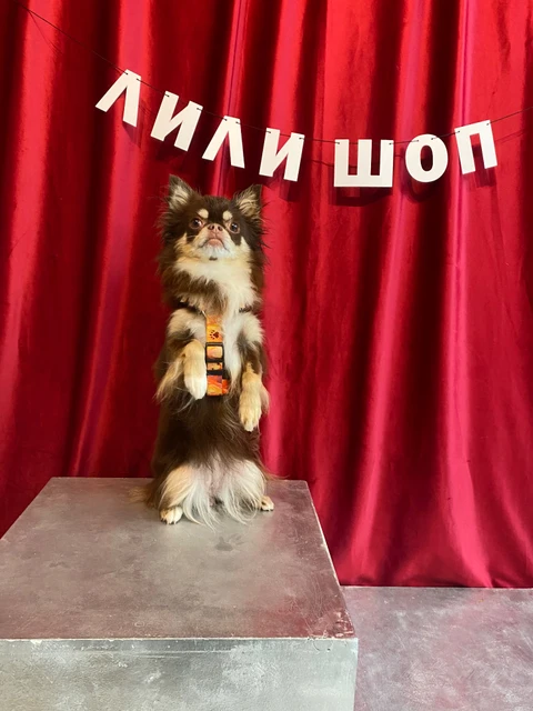 Миша🐻, фотография