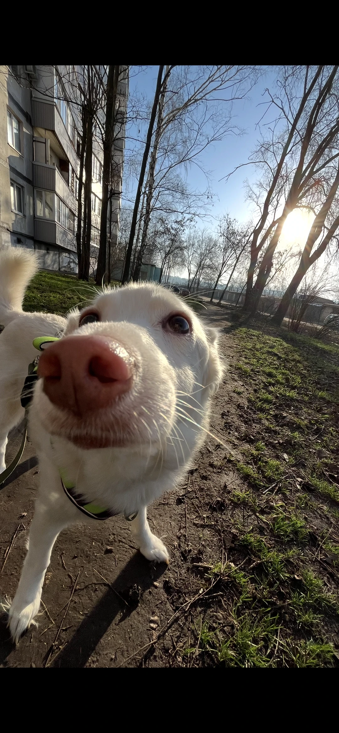 Анна, фотография