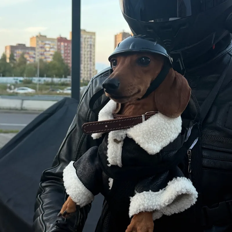 Яна, фотография