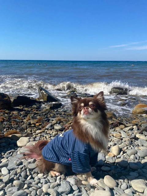 Миша🐻, фотография