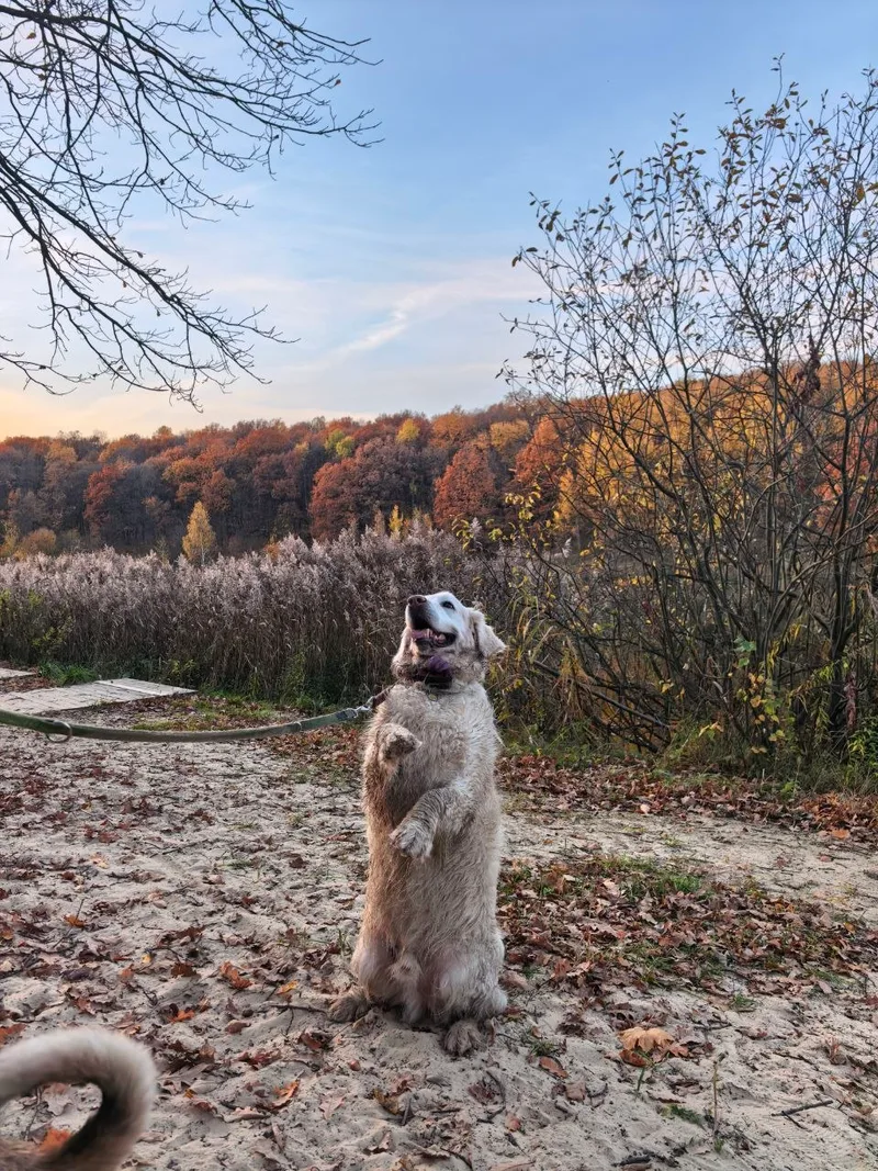 Анастасия, фотография