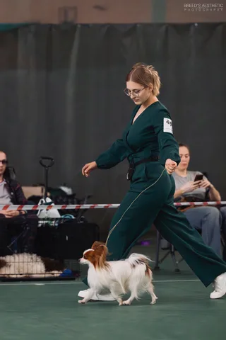 Реми, фотография