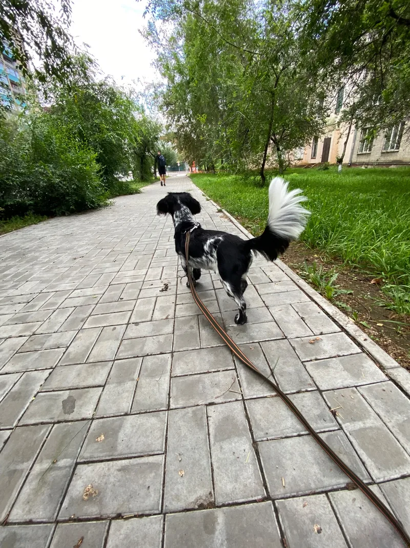 Ирина, фотография