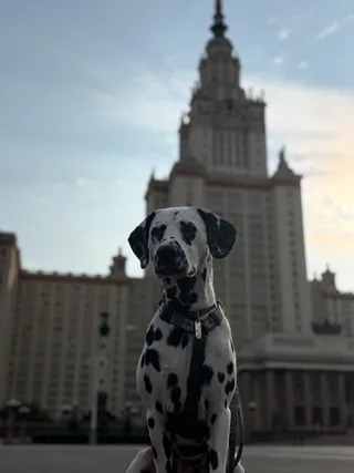 Пай, фотография