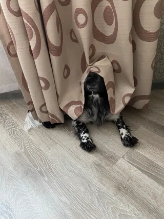 Джим, фотография