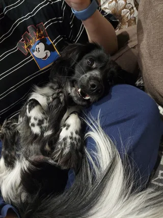 Джим, фотография