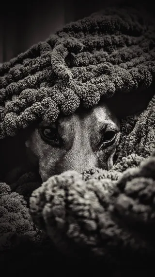 2PAC(Тупак), фотография