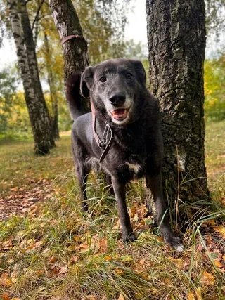 Ночка, фотография